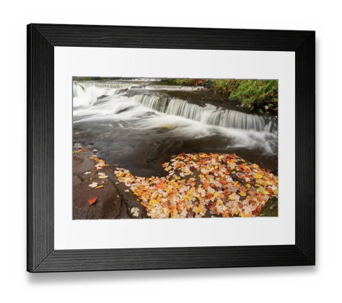 Framed Print : USA, Michigan, Ottawa National Forest. Fallen maple leaves and waterfalls on Ontonagon River. ©Don Grall  /  Jaynes Gallery  /  DanitaDelimont.com