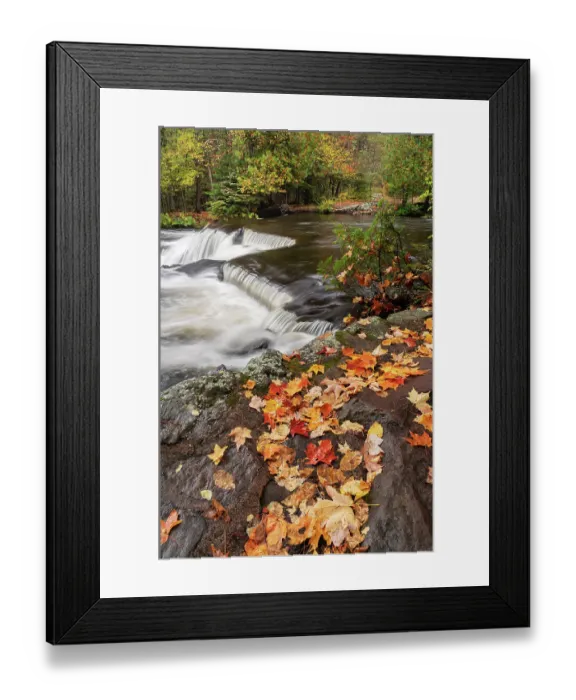 Framed Print : USA, Michigan, Ottawa National Forest, Bond Falls. Fallen maple leaves waterfalls on Ontonagon River. ©Don Grall / Jaynes Gallery / DanitaDelimont.com Framed Print : USA, Michigan, Ottawa National Forest, Bond Falls. Fallen maple leaves waterfalls on Ontonagon River. ©Don Grall / Jaynes Gallery / DanitaDelimont.com