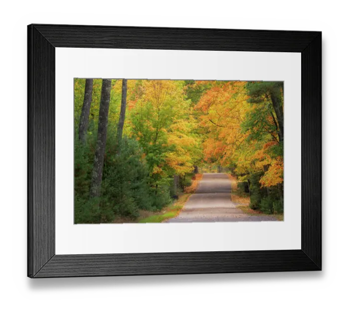 Framed Print : USA, Michigan, Ottawa National Forest. Road through forest in autumn. ©Don Grall / Jaynes Gallery / DanitaDelimont.com Framed Print : USA, Michigan, Ottawa National Forest. Road through forest in autumn. ©Don Grall / Jaynes Gallery / DanitaDelimont.com