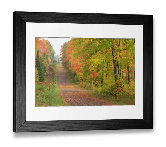 Framed Print : USA, Michigan, Ottawa National Forest. Landscape of road through forest in autumn. ©Don Grall / Jaynes Gallery / DanitaDelimont.com Framed Print : USA, Michigan, Ottawa National Forest. Landscape of road through forest in autumn. ©Don Grall / Jaynes Gallery / DanitaDelimont.com