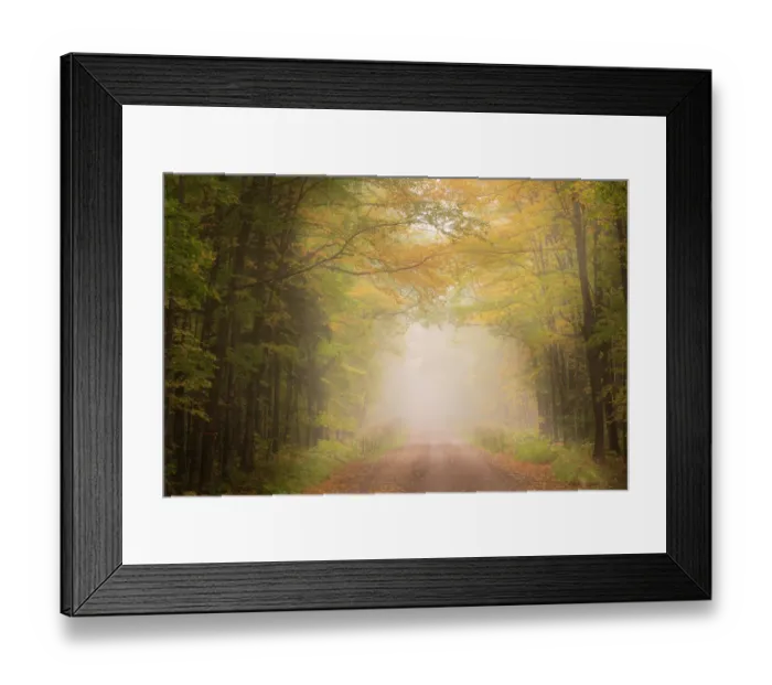 Framed Print : USA, Michigan, Ottawa National Forest. Road through maple leaves and fog in autumn. ©Don Grall / Jaynes Gallery / DanitaDelimont.com Framed Print : USA, Michigan, Ottawa National Forest. Road through maple leaves and fog in autumn. ©Don Grall / Jaynes Gallery / DanitaDelimont.com