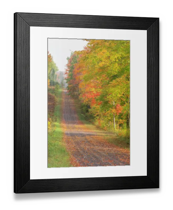 Framed Print : USA, Michigan, Ottawa National Forest. Landscape of road through forest in autumn. ©Don Grall / Jaynes Gallery / DanitaDelimont.com Framed Print : USA, Michigan, Ottawa National Forest. Landscape of road through forest in autumn. ©Don Grall / Jaynes Gallery / DanitaDelimont.com