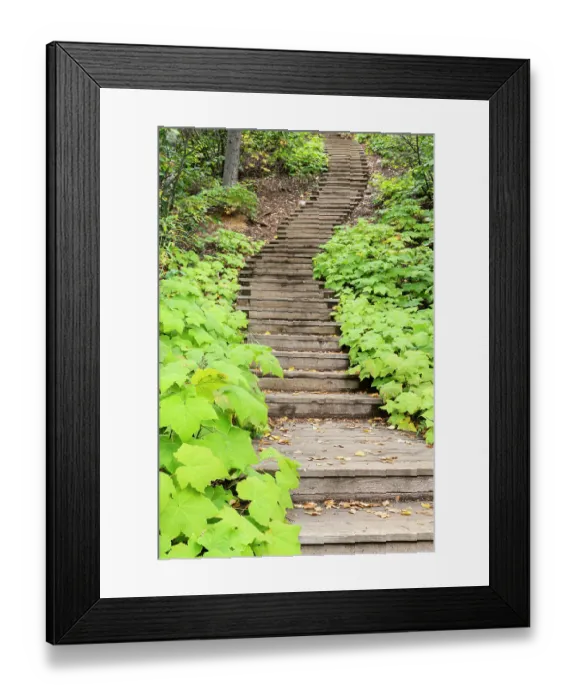 Framed Print : USA, Minnesota, Temperance River State Park. Winding wooden staircase in park. ©Don Grall / Jaynes Gallery / DanitaDelimont.com Framed Print : USA, Minnesota, Temperance River State Park. Winding wooden staircase in park. ©Don Grall / Jaynes Gallery / DanitaDelimont.com