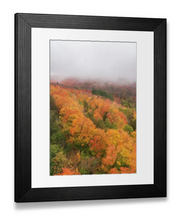 Framed Print : USA, Minnesota, Superior National Forest. Autumn forest colors and fog. ©Don Grall / Jaynes Gallery / DanitaDelimont.com Framed Print : USA, Minnesota, Superior National Forest. Autumn forest colors and fog. ©Don Grall / Jaynes Gallery / DanitaDelimont.com