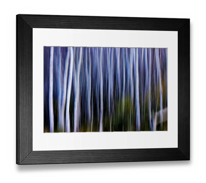 Framed Print : Autumn Aspen grove in motion in Glacier National Park, Montana, USA Framed Print : Autumn Aspen grove in motion in Glacier National Park, Montana, USA