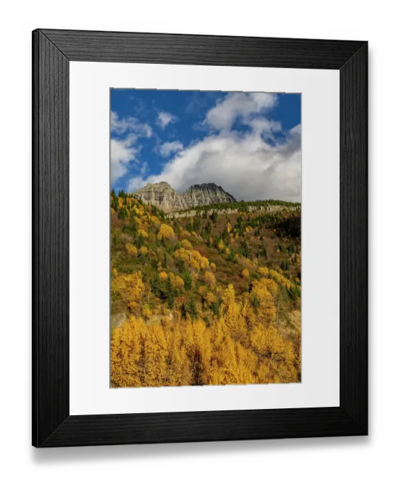 Framed Print : Autumn hues below The Garden Wall in Glacier National Park, Montana, USA Framed Print : Autumn hues below The Garden Wall in Glacier National Park, Montana, USA