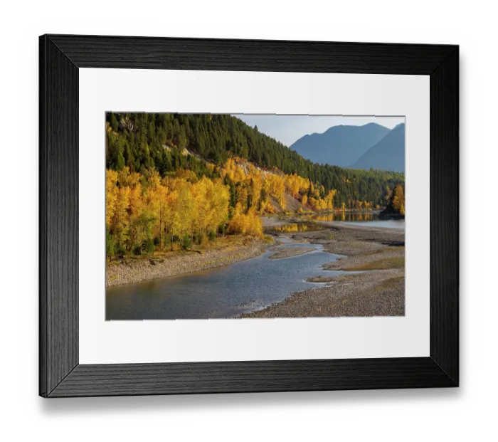Framed Print : Autumn color along the Flathead River at Bad Rock Canyon in Hungry Horse, Montana, USA Framed Print : Autumn color along the Flathead River at Bad Rock Canyon in Hungry Horse, Montana, USA
