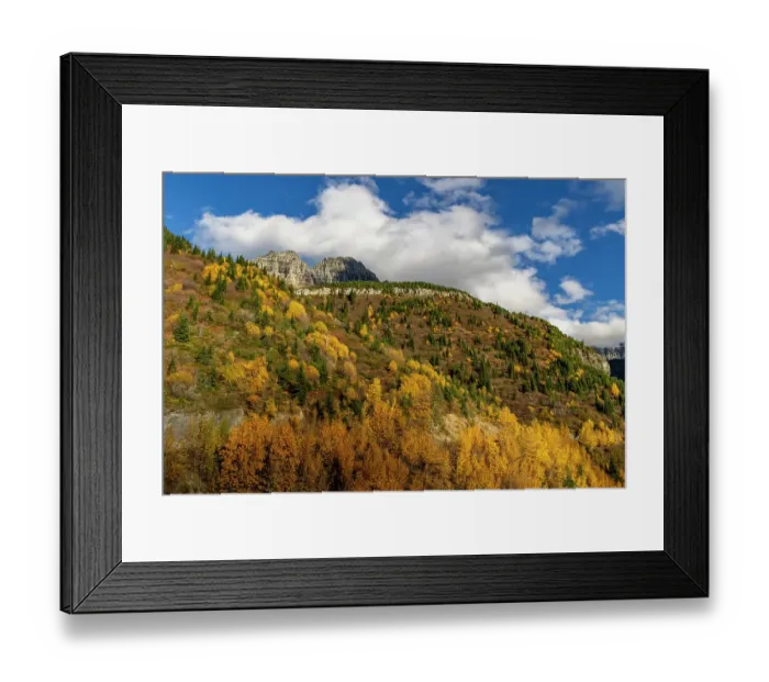 Framed Print : Autumn hues below The Garden Wall in Glacier National Park, Montana, USA Framed Print : Autumn hues below The Garden Wall in Glacier National Park, Montana, USA