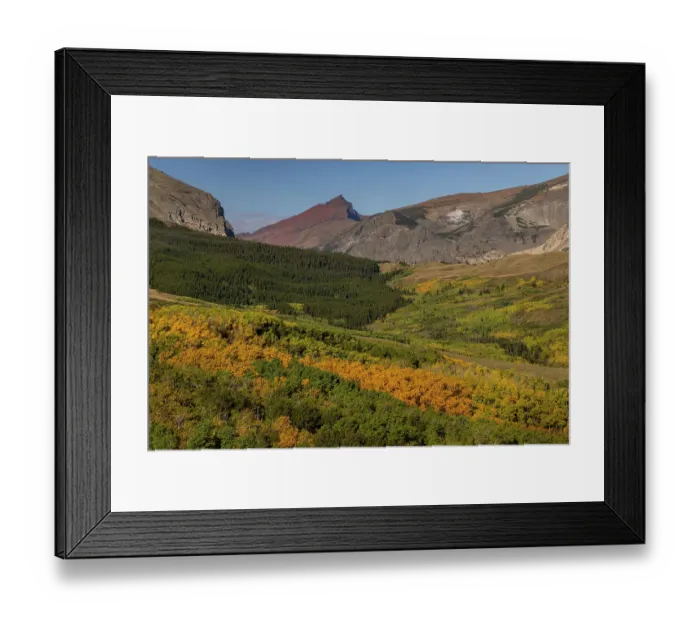 Framed Print : Autumn Aspen groves below Red Mountain in Glacier National Park, Montana, USA Framed Print : Autumn Aspen groves below Red Mountain in Glacier National Park, Montana, USA
