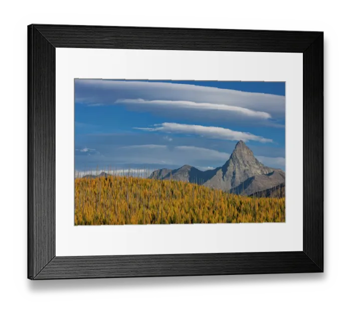 Framed Print : Mount St. Nicholas with autumn larch trees in Glacier National Park, Montana, USA Framed Print : Mount St. Nicholas with autumn larch trees in Glacier National Park, Montana, USA