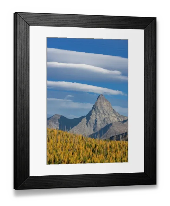 Framed Print : Mount St. Nicholas with autumn larch trees in Glacier National Park, Montana, USA Framed Print : Mount St. Nicholas with autumn larch trees in Glacier National Park, Montana, USA