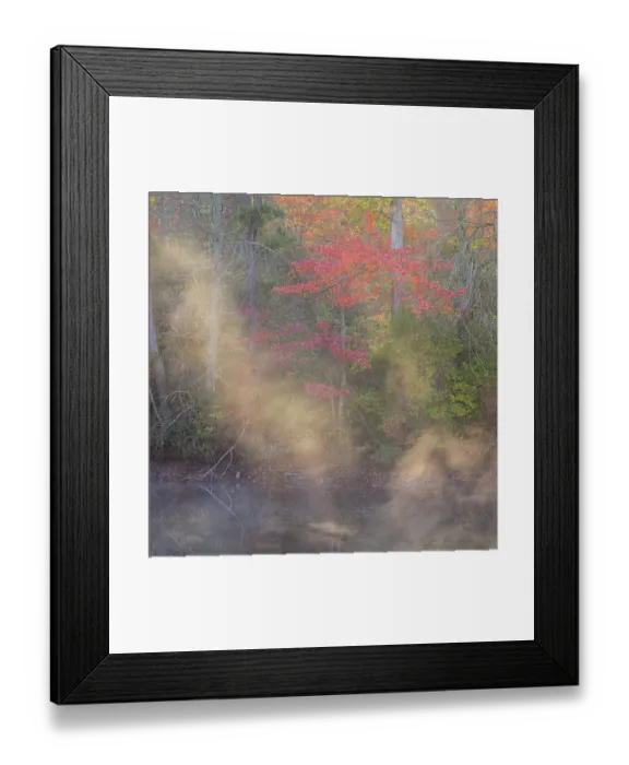 Framed Print : USA, New Jersey, Pine Barrens National Preserve. Autumn forest and pond mist. ©Jay O'Brien / Jaynes Gallery / DanitaDelimont.com Framed Print : USA, New Jersey, Pine Barrens National Preserve. Autumn forest and pond mist. ©Jay O'Brien / Jaynes Gallery / DanitaDelimont.com