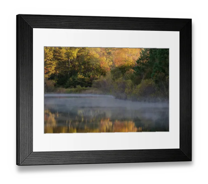 Framed Print : USA, New Jersey, Pine Barrens National Preserve. Autumn foliage reflected in pond. ©Jay O'Brien  /  Jaynes Gallery  /  DanitaDelimont.com