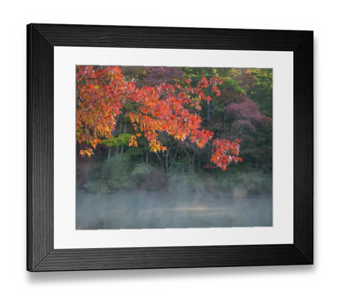 Framed Print : USA, New Jersey, Pine Barrens National Preserve. Autumn foliage and pond mist. ©Jay O'Brien / Jaynes Gallery / DanitaDelimont.com Framed Print : USA, New Jersey, Pine Barrens National Preserve. Autumn foliage and pond mist. ©Jay O'Brien / Jaynes Gallery / DanitaDelimont.com