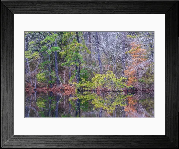 Framed Print : USA, New Jersey, Pinelands National Reserve. Forest reflections in lake. ©Jay O'Brien / Jaynes Gallery / DanitaDelimont.com Framed Print : USA, New Jersey, Pinelands National Reserve. Forest reflections in lake. ©Jay O'Brien / Jaynes Gallery / DanitaDelimont.com