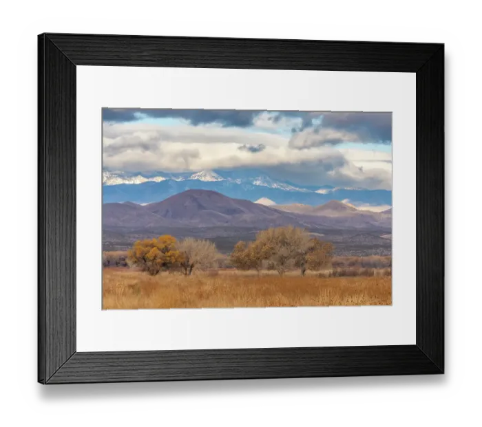 Framed Print : USA, New Mexico, Bosque Del Apache National Wildlife Refuge. Autumn landscape with cottonwood trees and mountains. ©Cathy & Gordon Illg / Jaynes Gallery / DanitaDelimont.com Framed Print : USA, New Mexico, Bosque Del Apache National Wildlife Refuge. Autumn landscape with cottonwood trees and mountains. ©Cathy & Gordon Illg / Jaynes Gallery / DanitaDelimont.com