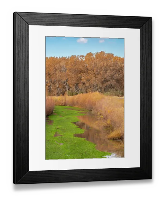 Framed Print : USA, New Mexico, Bosque Del Apache National Wildlife Refuge. Landscape with stream and forest in autumn. ©Cathy & Gordon Illg / Jaynes Gallery / DanitaDelimont.com Framed Print : USA, New Mexico, Bosque Del Apache National Wildlife Refuge. Landscape with stream and forest in autumn. ©Cathy & Gordon Illg / Jaynes Gallery / DanitaDelimont.com