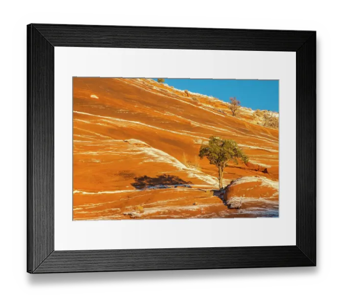 Framed Print : USA, New Mexico, Gallup, Red Rock Park. Sunrise and snow on mountain. ©Cathy & Gordon Illg / Jaynes Gallery / DanitaDelimont.com Framed Print : USA, New Mexico, Gallup, Red Rock Park. Sunrise and snow on mountain. ©Cathy & Gordon Illg / Jaynes Gallery / DanitaDelimont.com