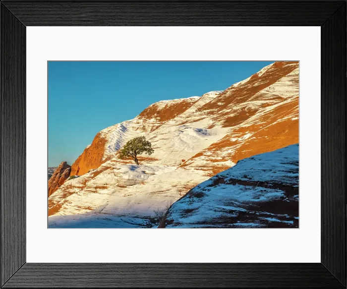 Framed Print : USA, New Mexico, Gallup, Red Rock Park. Sunrise and snow on mountain. ©Cathy & Gordon Illg / Jaynes Gallery / DanitaDelimont.com Framed Print : USA, New Mexico, Gallup, Red Rock Park. Sunrise and snow on mountain. ©Cathy & Gordon Illg / Jaynes Gallery / DanitaDelimont.com