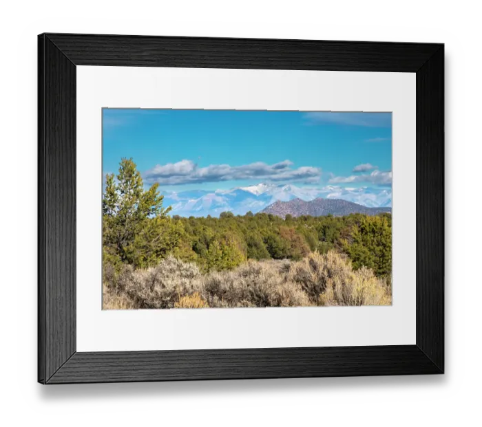 Framed Print : USA, New Mexico, Rio Grande del Norte National Monument. Forest and mountain landscape. ©Cathy & Gordon Illg / Jaynes Gallery / DanitaDelimont.com Framed Print : USA, New Mexico, Rio Grande del Norte National Monument. Forest and mountain landscape. ©Cathy & Gordon Illg / Jaynes Gallery / DanitaDelimont.com