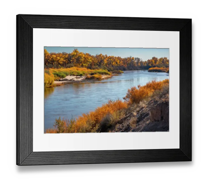 Framed Print : USA, New Mexico. Rio Grande River and cottonwood trees in autumn. ©Cathy & Gordon Illg  /  Jaynes Gallery  /  DanitaDelimont.com