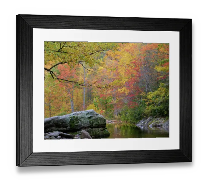 Framed Print : USA, North Carolina, West Fork Pigeon River. Autumn landscape with river and forest. ©Don Paulson / Jaynes Gallery / DanitaDelimont.com Framed Print : USA, North Carolina, West Fork Pigeon River. Autumn landscape with river and forest. ©Don Paulson / Jaynes Gallery / DanitaDelimont.com