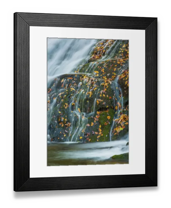 Framed Print : USA, North Carolina, Great Smoky Mountains. Indian Creek Falls waterfall. ©Don Paulson / Jaynes Gallery / DanitaDelimont.com Framed Print : USA, North Carolina, Great Smoky Mountains. Indian Creek Falls waterfall. ©Don Paulson / Jaynes Gallery / DanitaDelimont.com