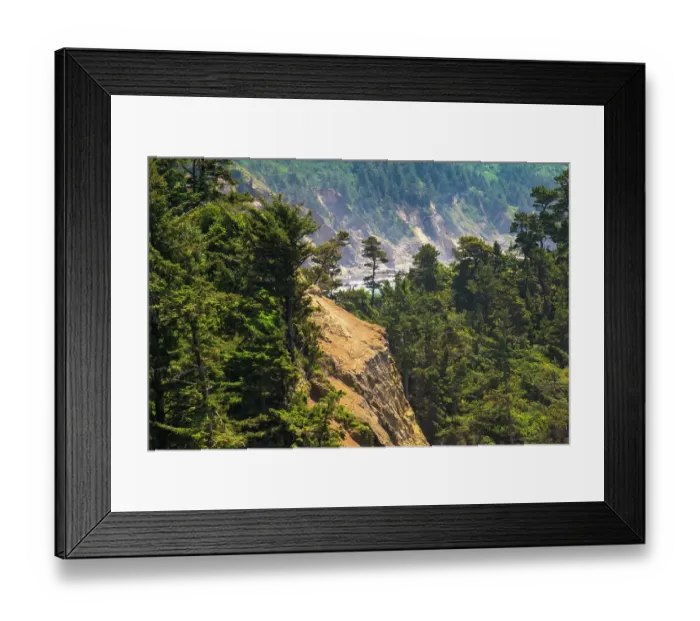 Framed Print : Cape Arago State Park, Coos County, Oregon, USA Framed Print : Cape Arago State Park, Coos County, Oregon, USA