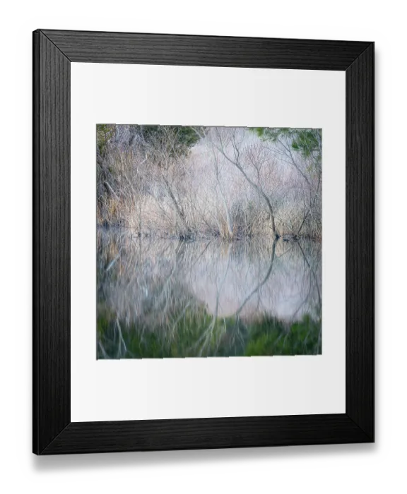 Framed Print : USA, Pennsylvania, Delaware Water Gap. Frosty winter trees reflect in water. ©Jay O'Brien  /  Jaynes Gallery  /  DanitaDelimont.com