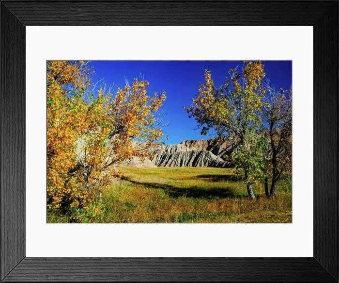 Framed Print : USA, South Dakota, Wall, Badlands National Park, Buttes framed by Fall Colorful Trees