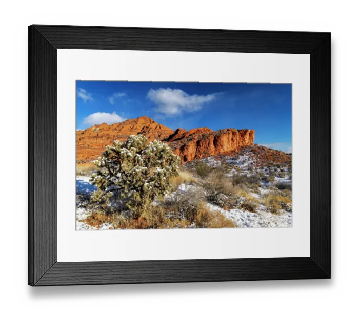 Framed Print : Fresh snowfall on cholla cactus and reefs in Red Cliffs National Conservation Area near St. George, Utah, USA Framed Print : Fresh snowfall on cholla cactus and reefs in Red Cliffs National Conservation Area near St. George, Utah, USA