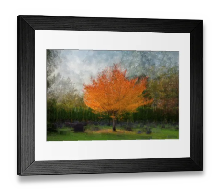 Framed Print : USA, Washington State, Bellingham. Composite abstract of tree in autumn colors in cemetery. ©Dennis Kirkland / Jaynes Gallery / DanitaDelimont.com Framed Print : USA, Washington State, Bellingham. Composite abstract of tree in autumn colors in cemetery. ©Dennis Kirkland / Jaynes Gallery / DanitaDelimont.com