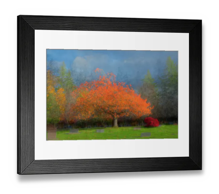 Framed Print : USA, Washington State, Bellingham. Composite abstract of tree in autumn colors in cemetery. ©Dennis Kirkland / Jaynes Gallery / DanitaDelimont.com Framed Print : USA, Washington State, Bellingham. Composite abstract of tree in autumn colors in cemetery. ©Dennis Kirkland / Jaynes Gallery / DanitaDelimont.com
