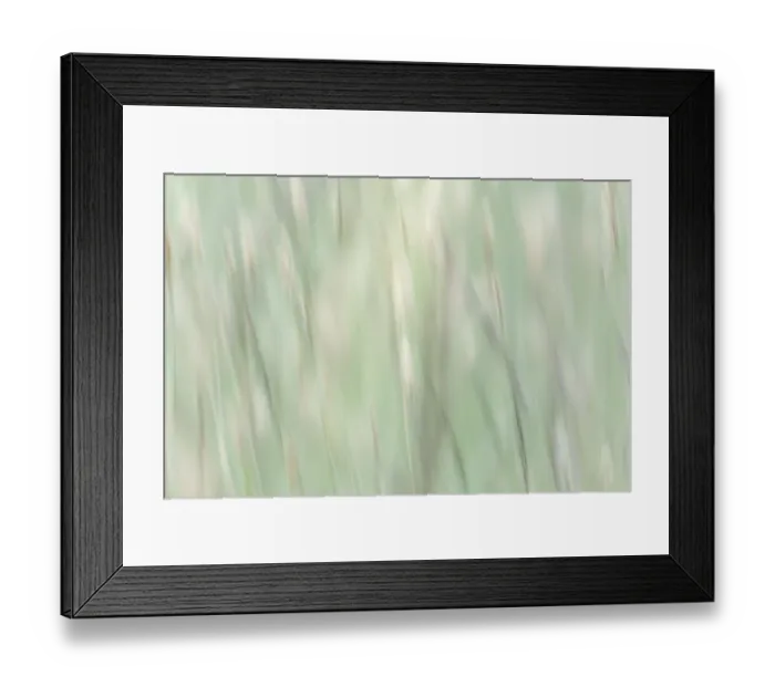 Framed Print : USA, Washington State, Seabeck. Abstract of summer meadow grass. ©Don Paulson / Jaynes Gallery / DanitaDelimont.com Framed Print : USA, Washington State, Seabeck. Abstract of summer meadow grass. ©Don Paulson / Jaynes Gallery / DanitaDelimont.com