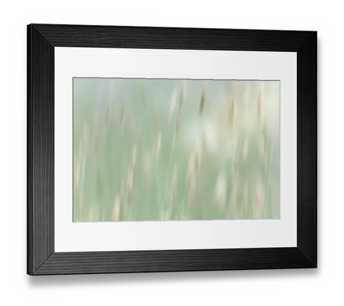 Framed Print : USA, Washington State, Seabeck. Abstract of grass in summer meadow. ©Don Paulson / Jaynes Gallery / DanitaDelimont.com Framed Print : USA, Washington State, Seabeck. Abstract of grass in summer meadow. ©Don Paulson / Jaynes Gallery / DanitaDelimont.com