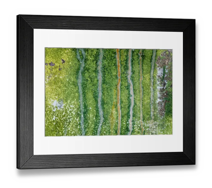 Framed Print : USA, Washington State, Port Townsend, Fort Worden State Park. Weathered paint patterns on metal wall. ©Don Paulson  /  Jaynes Gallery  /  DanitaDelimont.com