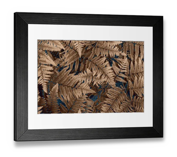 Framed Print : USA, Washington State, Seabeck. Brown ferns in autumn. ©Don Paulson  /  Jaynes Gallery  /  DanitaDelimont.com