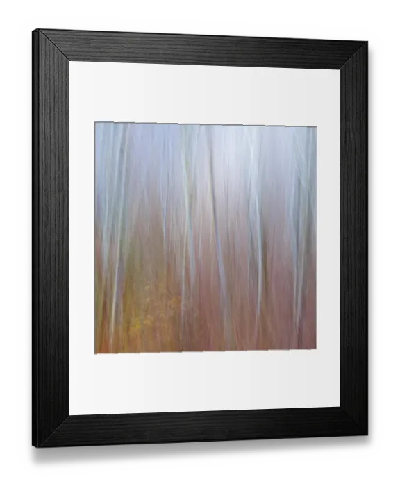 Framed Print : USA, Washington State, Seabeck. Composite of alder and dogwood trees. ©Don Paulson / Jaynes Gallery / DanitaDelimont.com Framed Print : USA, Washington State, Seabeck. Composite of alder and dogwood trees. ©Don Paulson / Jaynes Gallery / DanitaDelimont.com