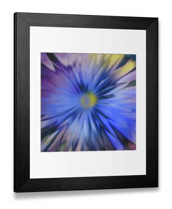 Framed Print : USA, Washington State, Seabeck. Abstract blur made to look like flower. ©Don Paulson / Jaynes Gallery / DanitaDelimont.com Framed Print : USA, Washington State, Seabeck. Abstract blur made to look like flower. ©Don Paulson / Jaynes Gallery / DanitaDelimont.com