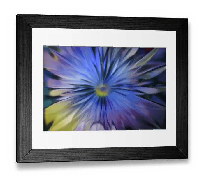Framed Print : USA, Washington State, Seabeck. Abstract blur made to look like flower. ©Don Paulson / Jaynes Gallery / DanitaDelimont.com Framed Print : USA, Washington State, Seabeck. Abstract blur made to look like flower. ©Don Paulson / Jaynes Gallery / DanitaDelimont.com
