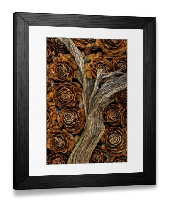 Framed Print : USA, Washington State, Seabeck. Cedar cones and driftwood. ©Don Paulson / Jaynes Gallery / DanitaDelimont.com Framed Print : USA, Washington State, Seabeck. Cedar cones and driftwood. ©Don Paulson / Jaynes Gallery / DanitaDelimont.com