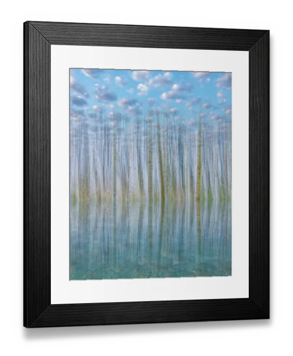 Framed Print : USA, Washington State, Seabeck. Composite of trees, sky and water. ©Don Paulson / Jaynes Gallery / DanitaDelimont.com Framed Print : USA, Washington State, Seabeck. Composite of trees, sky and water. ©Don Paulson / Jaynes Gallery / DanitaDelimont.com
