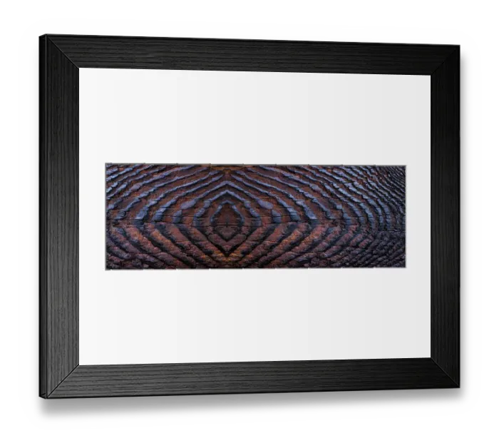 Framed Print : USA, Washington State, Seabeck. Panoramic of grain pattern on burnt driftwood. ©Don Paulson  /  Jaynes Gallery  /  DanitaDelimont.com