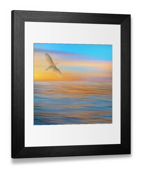 Framed Print : USA, Washington State, Seabeck. Composite of great egret flying in seascape sunset. ©Don Paulson / Jaynes Gallery / DanitaDelimont.com Framed Print : USA, Washington State, Seabeck. Composite of great egret flying in seascape sunset. ©Don Paulson / Jaynes Gallery / DanitaDelimont.com