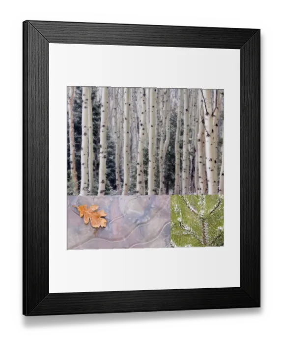 Framed Print : USA, Washington State, Seabeck. Collage of winter scenes. ©Don Paulson / Jaynes Gallery / DanitaDelimont.com Framed Print : USA, Washington State, Seabeck. Collage of winter scenes. ©Don Paulson / Jaynes Gallery / DanitaDelimont.com