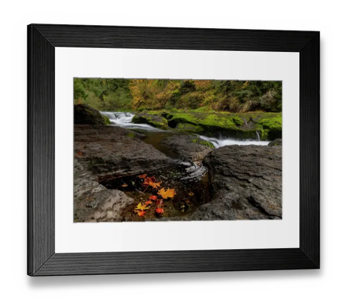 Framed Print : Lower Lewis River Falls in autumn in the Gifford Pinchot National Forest, Washington State, USA Framed Print : Lower Lewis River Falls in autumn in the Gifford Pinchot National Forest, Washington State, USA