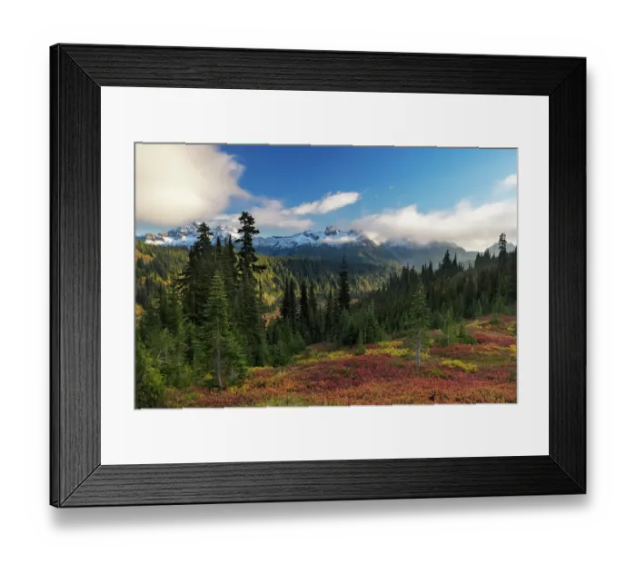Framed Print : Autumn hues with the Tatoosh Range in Mount Rainier National Park, Washington State, USA