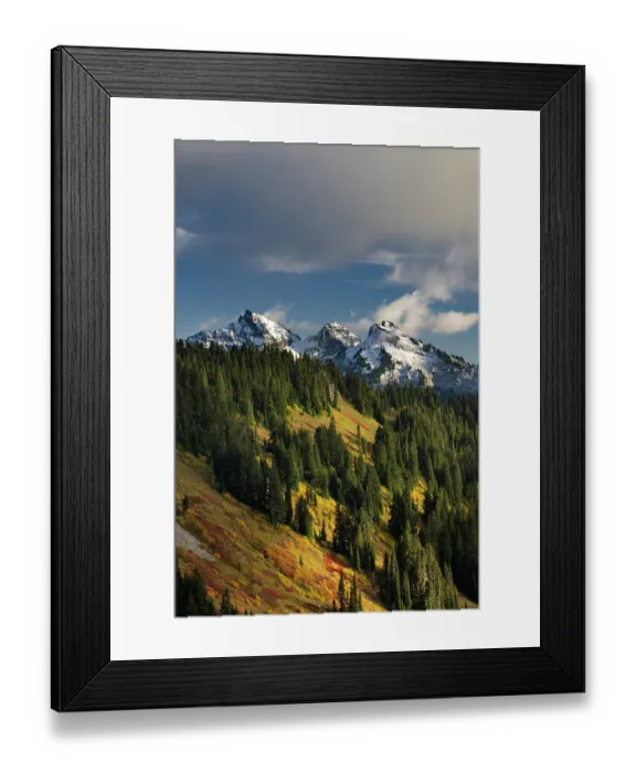 Framed Print : Autumn hues on Mazama Ridge and fresh snow on the Tatoosh Range in Mount Rainier National Park, Washington State, USA Framed Print : Autumn hues on Mazama Ridge and fresh snow on the Tatoosh Range in Mount Rainier National Park, Washington State, USA