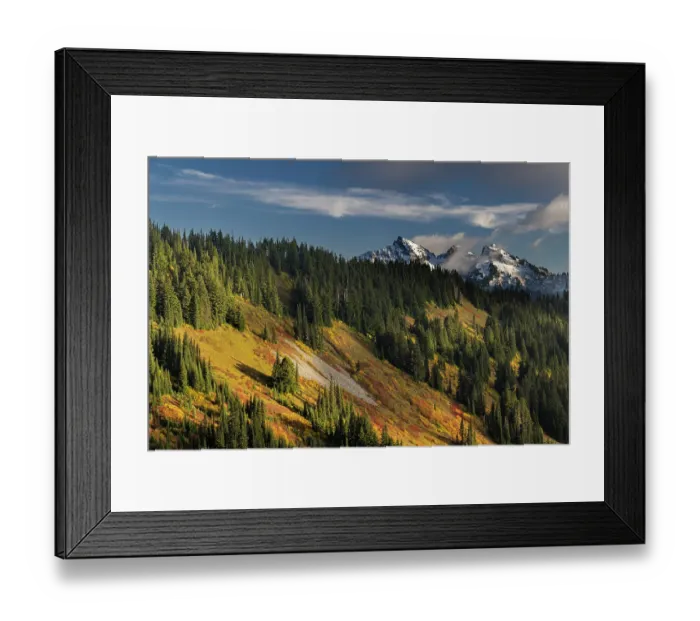 Framed Print : Autumn hues on Mazama Ridge and fresh snow on the Tatoosh Range in Mount Rainier National Park, Washington State, USA Framed Print : Autumn hues on Mazama Ridge and fresh snow on the Tatoosh Range in Mount Rainier National Park, Washington State, USA