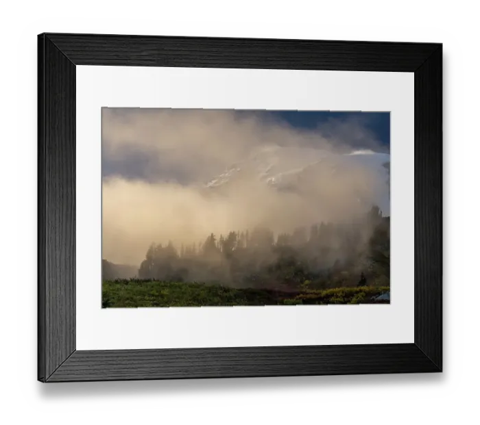 Framed Print : Fog Rolling in near sunset in Mount Rainier National Park, Washington State, USA Framed Print : Fog Rolling in near sunset in Mount Rainier National Park, Washington State, USA